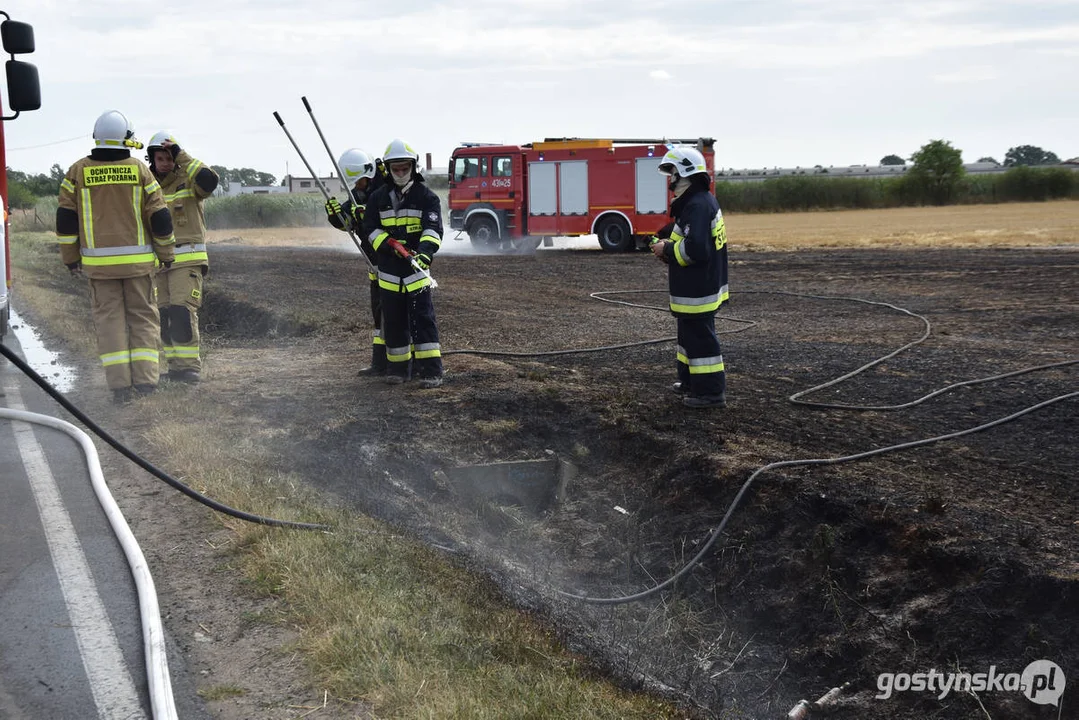 Pożar ścierniska w Daleszynie