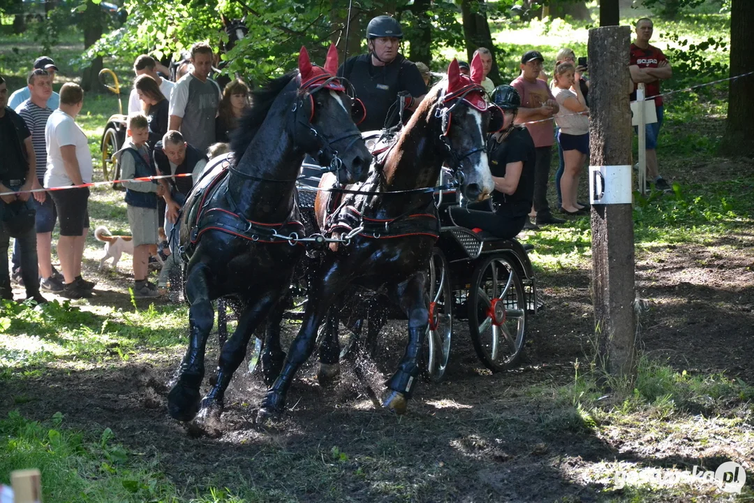 Rokosowo Horse Show 20224 - Konie i Powozy na Zamku Wielkopolskim w Rokosowie