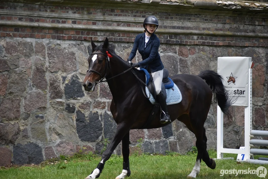 Rokosowo Horse Show - dzień drugi