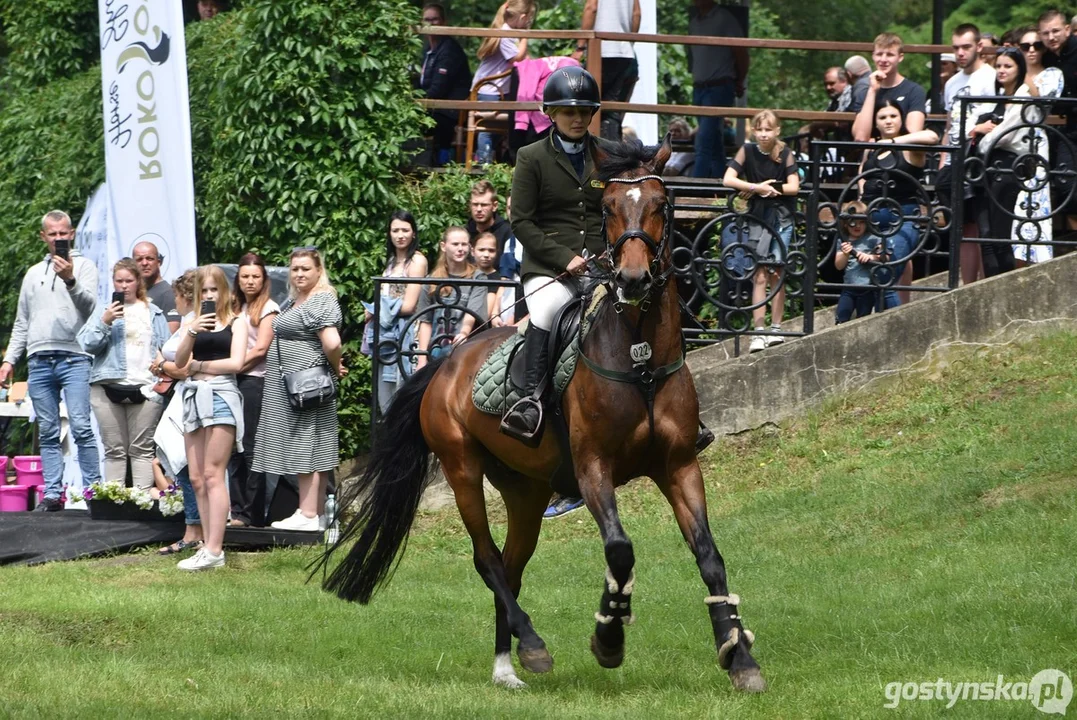 Rokosowo Horse Show - dzień drugi