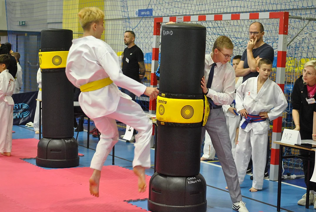 XXIII Liga Taekwondo Wesołek. Pleszewianie w czołówce - Zdjęcie główne