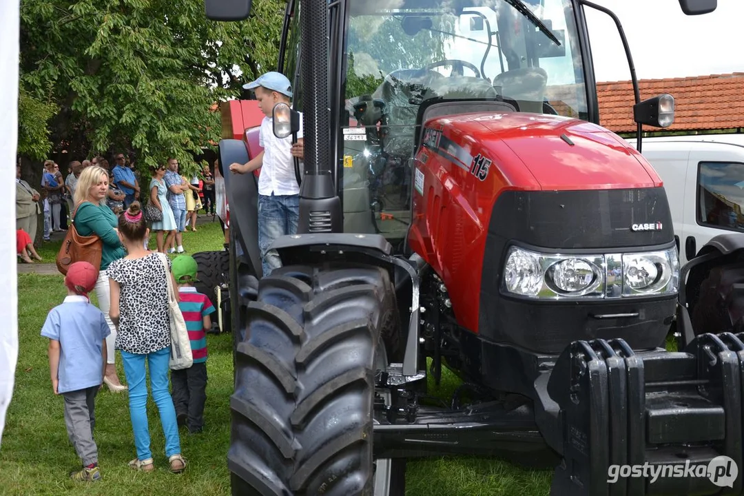 Dożynki powiatowe na Świętej Górze w 2013