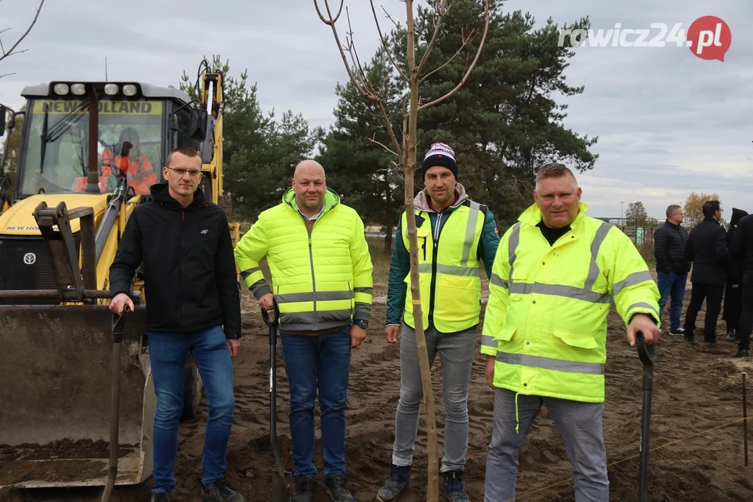 Nowe nasadzenia na poligonie