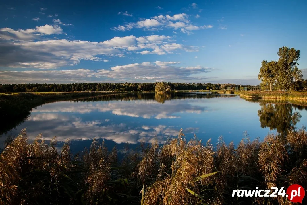 "Balaton" w Miejskiej Górce