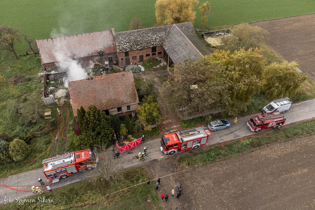 Tragedia w Polskich Olędrach. Kobieta zginęła w pożarze - Zdjęcie główne