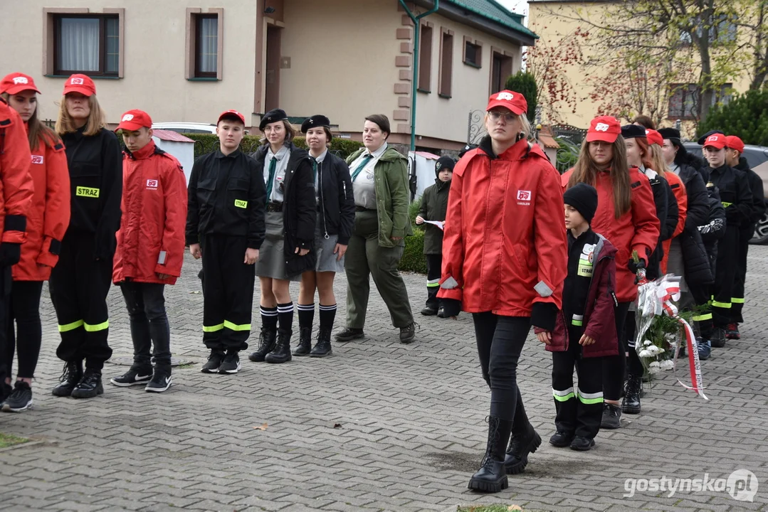 Narodowe Święto Niepodległości w Borku Wlkp.