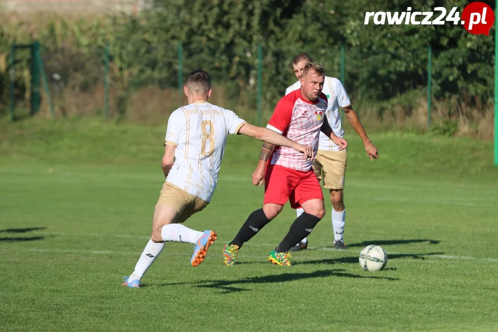 Awdaniec Pakosław - Wisła Borek Wielkopolski 2:5