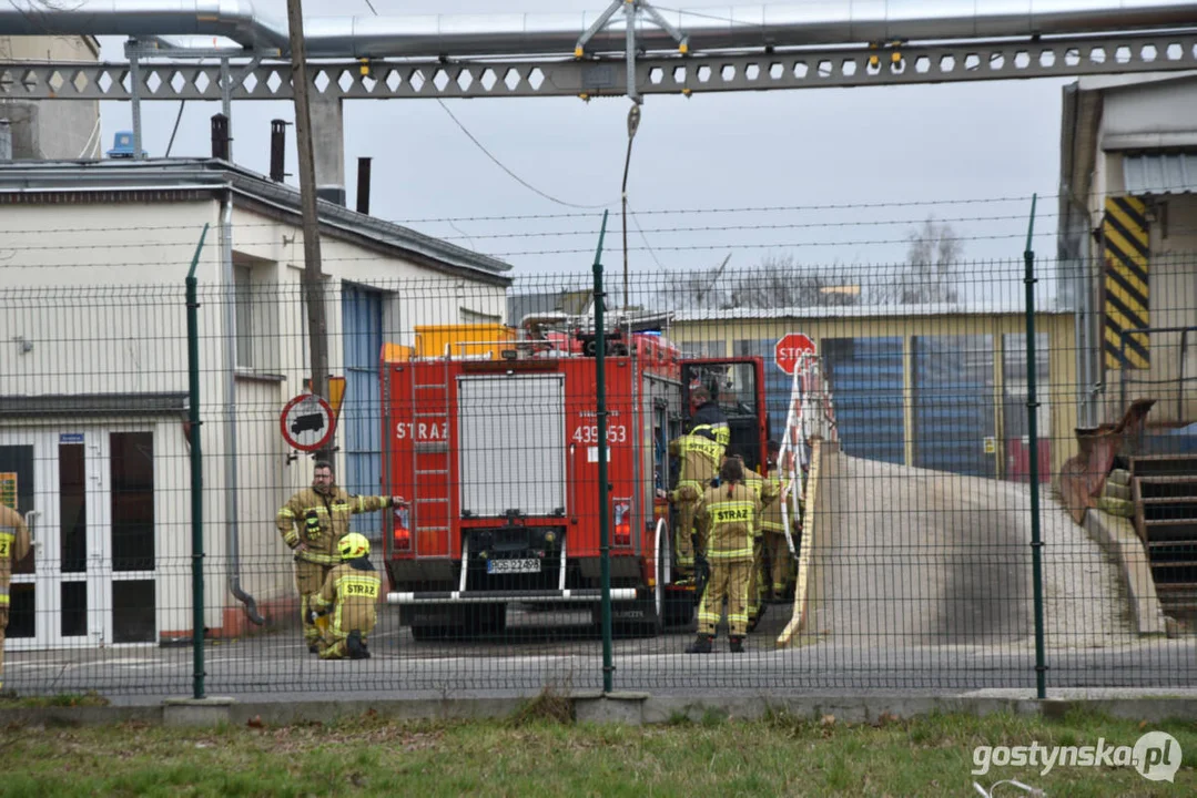 Ćwiczenia zastępów JRG oraz strażaków ochotników w zakładzie przetwórstwa spożywczego Pudliszkach