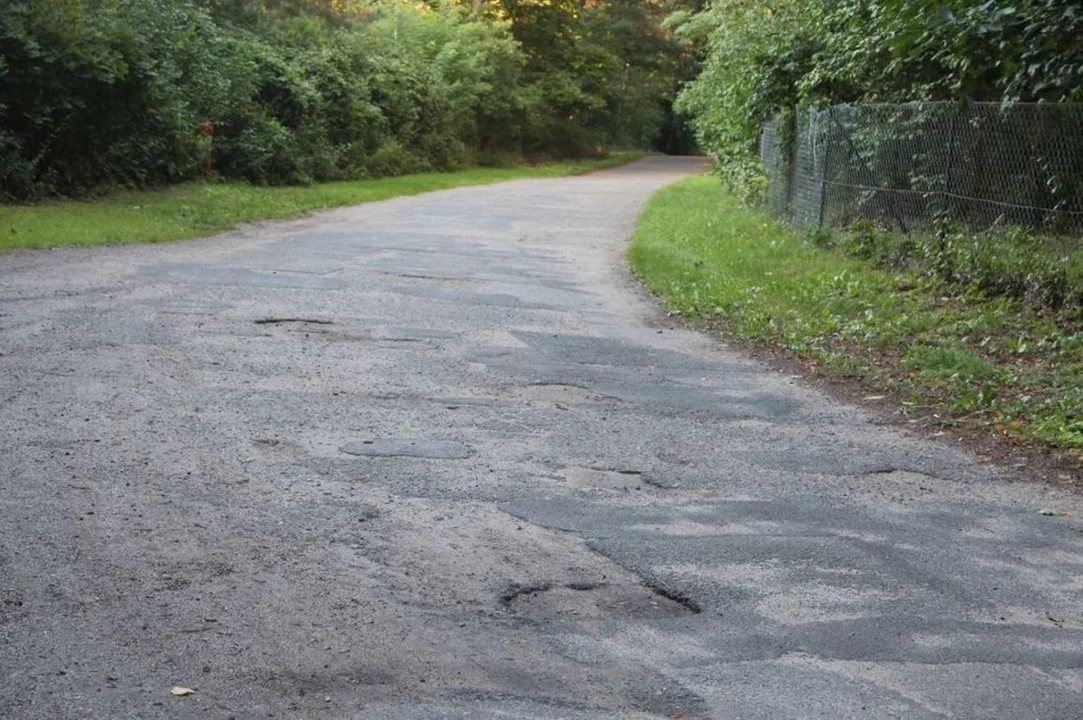 Nowe drogi do Pokazowej Zagrody Zwierząt w Gołuchowie