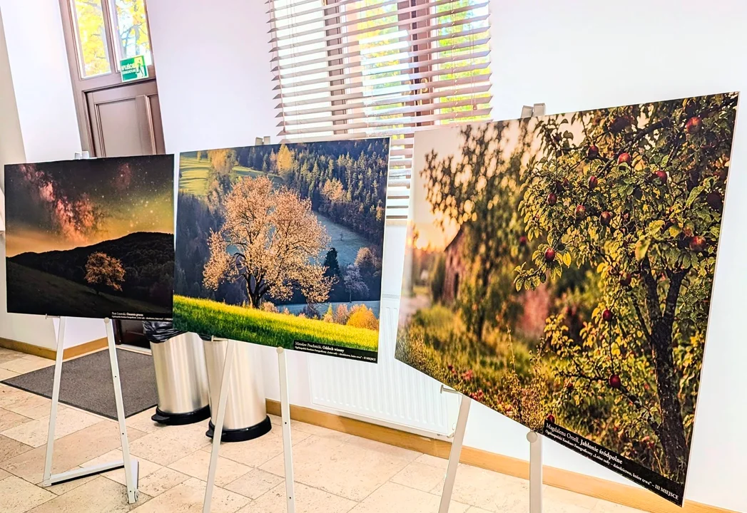67 uczestników i 246 zdjęć. Rozstrzygnięto konkurs o leśnych sadach – zdjęcie 2