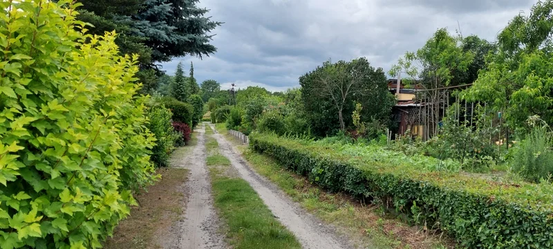 Co z ogródkami działkowymi w Jarocinie? Jakie plany ma miasto? Co się zmieni w terenach zielonych?