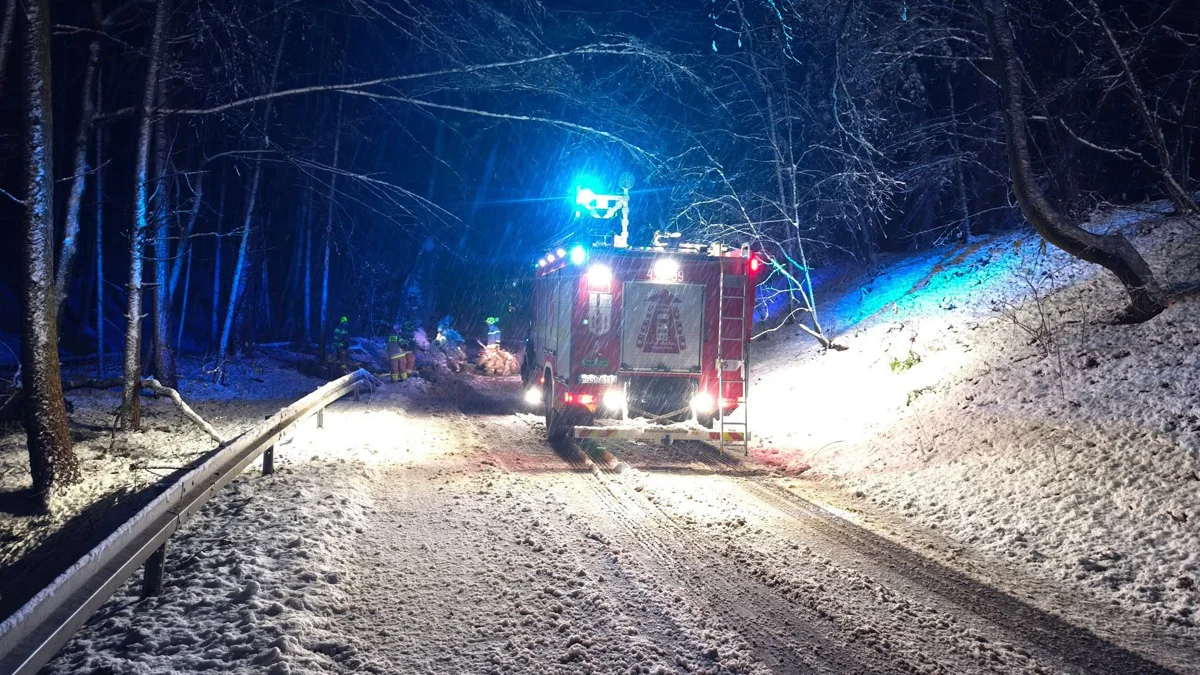 Straż pożarna reagowała na każde zgłoszenie. Druhowie z OSP usuwali powalone drzewa