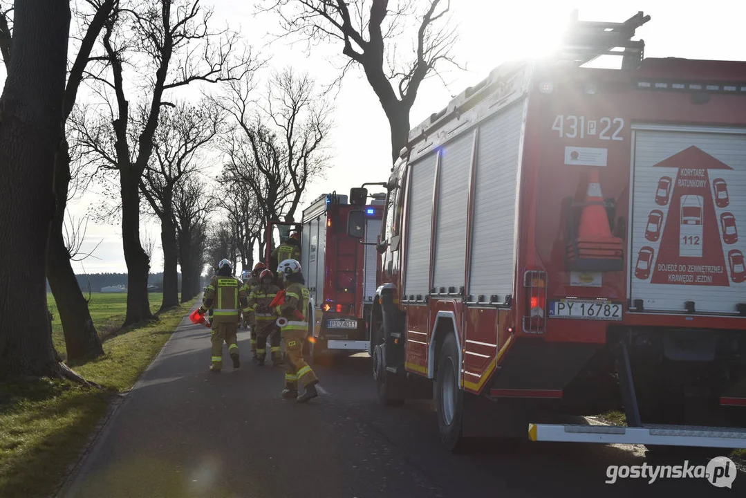 Zdarzenie drogowe w Bodzewku (gmina Piaski)