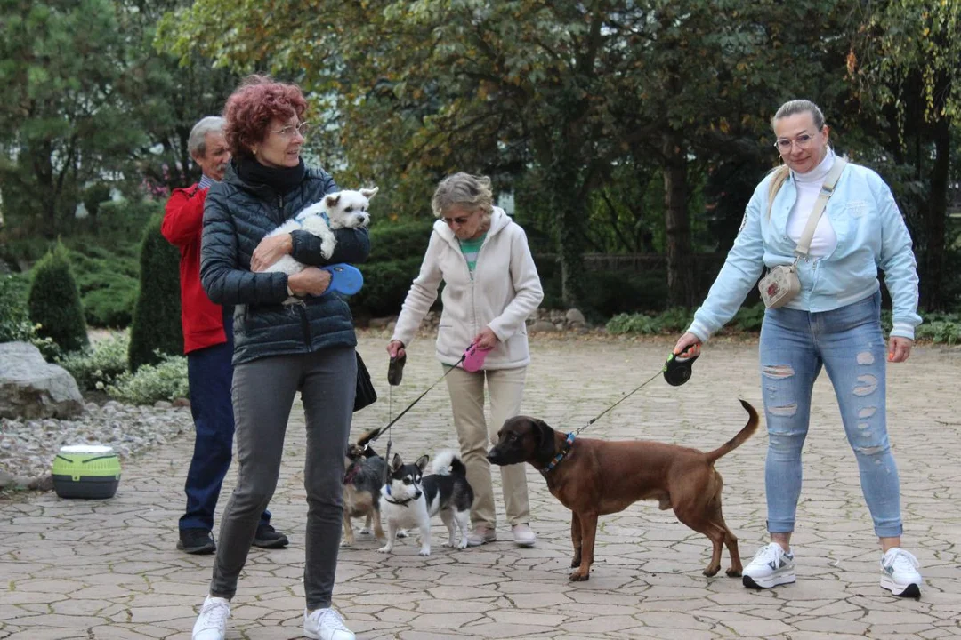 U franciszkanów w Jarocinie z okazji odpustu błogosławiono zwierzęta