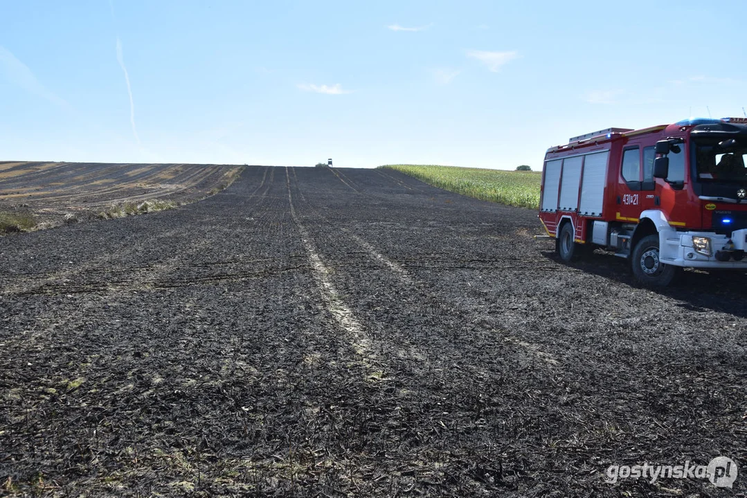 Pożar zboża w Osowie (gm. Gostyń)