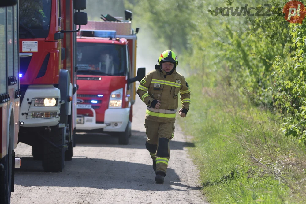 Pożar w lesie pomiędzy Zieloną Wsią a Dębnem Polskim