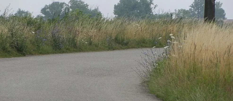 Zarośnięte pobocza przy drogach w powiecie jarocińskim