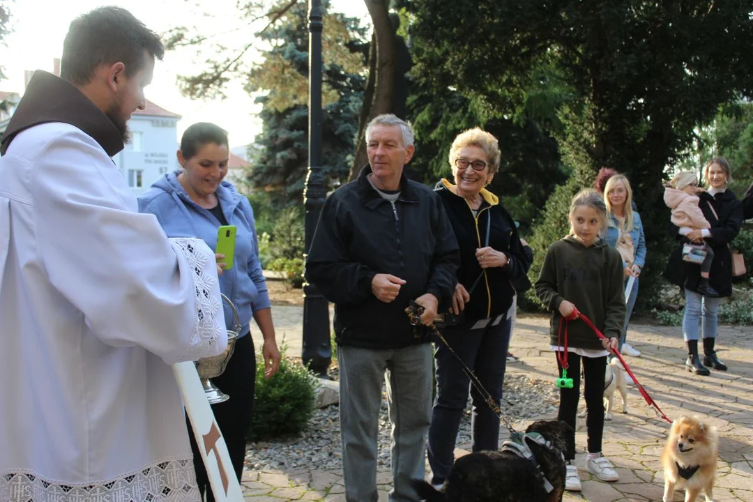 U franciszkanów w Jarocinie z okazji odpustu błogosławiono zwierzęta