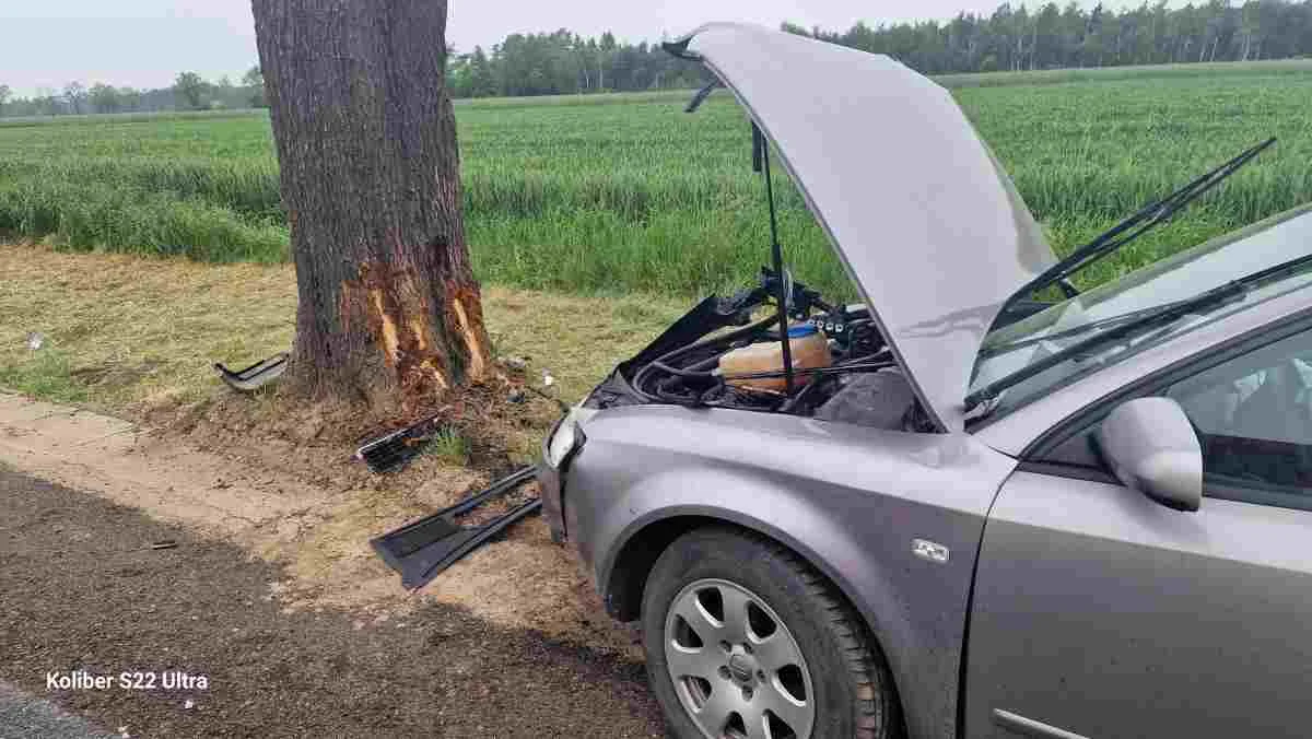 Zdarzenie w Komorzu. Auto osobowe uderzyło w drzewo - Zdjęcie główne