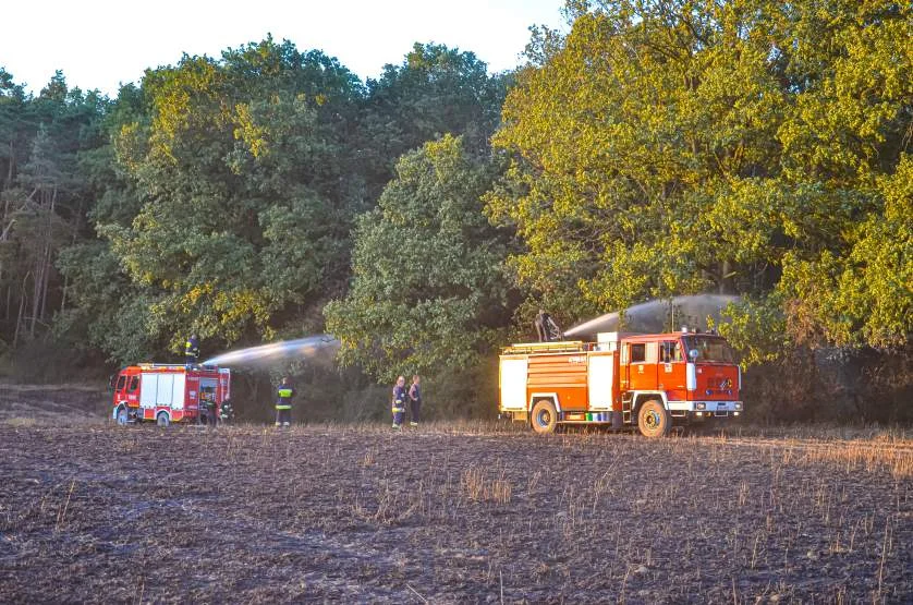 Ekwiwalent dla strażaków z OSP