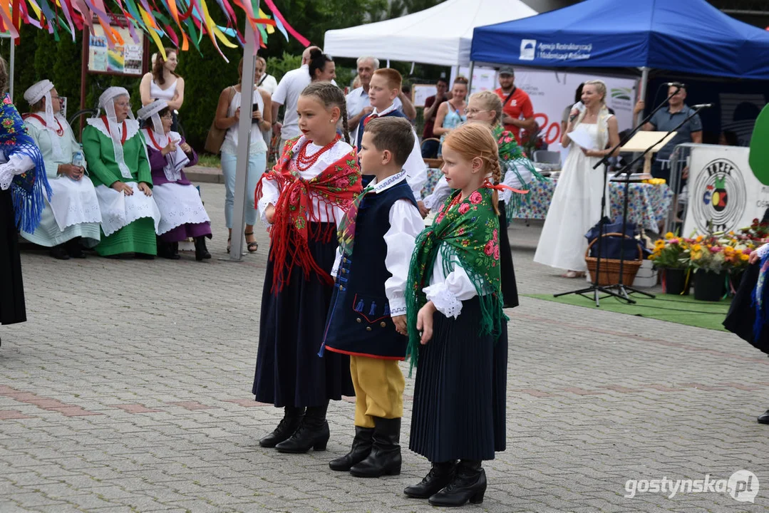 18. Prezentacje Zespołów Ludowych Wielkopolski w Borku Wlkp.