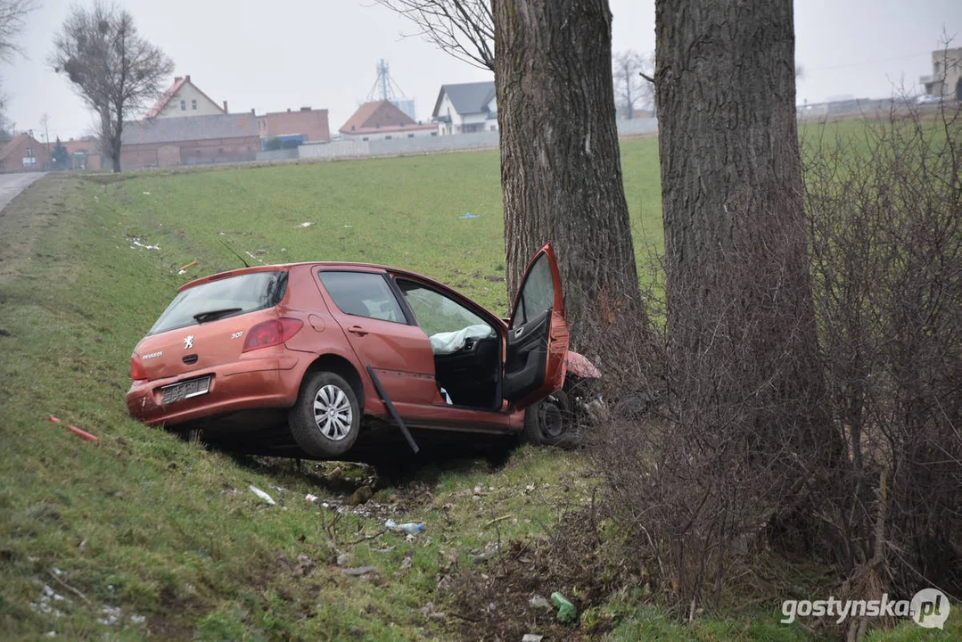 Wypadek samochodowy na drodze Strzelce Wielkie - Lipia (droga Piaski - Pogorzela)