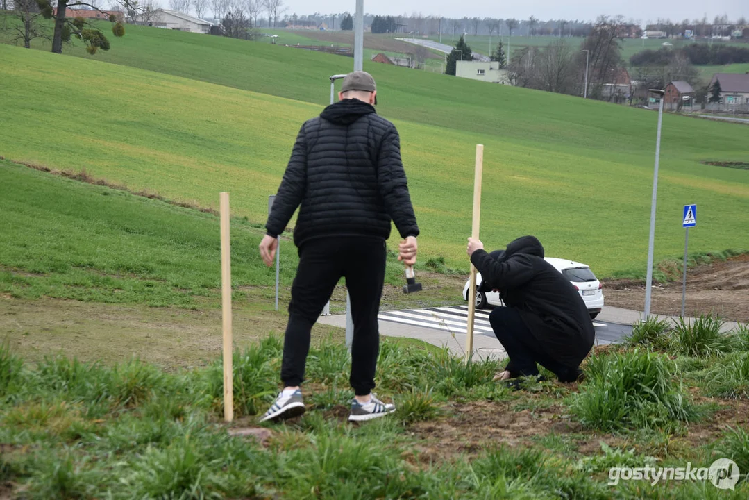 Sadzenie drzewek na 100-lecie Kani Gostyń