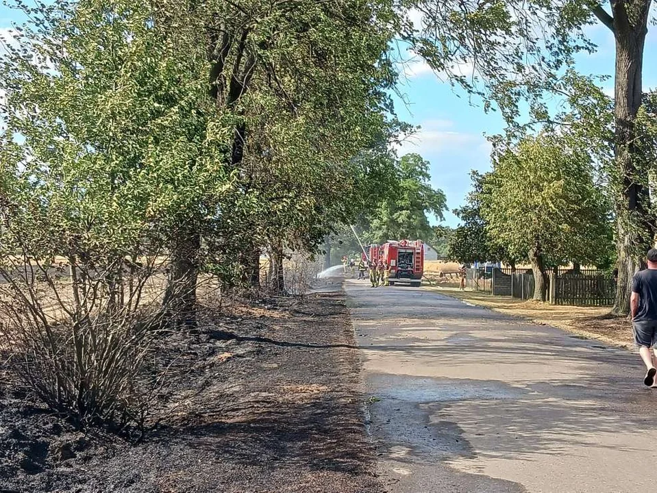 Pożar w Boguszynku w gminie Nowe Miasto