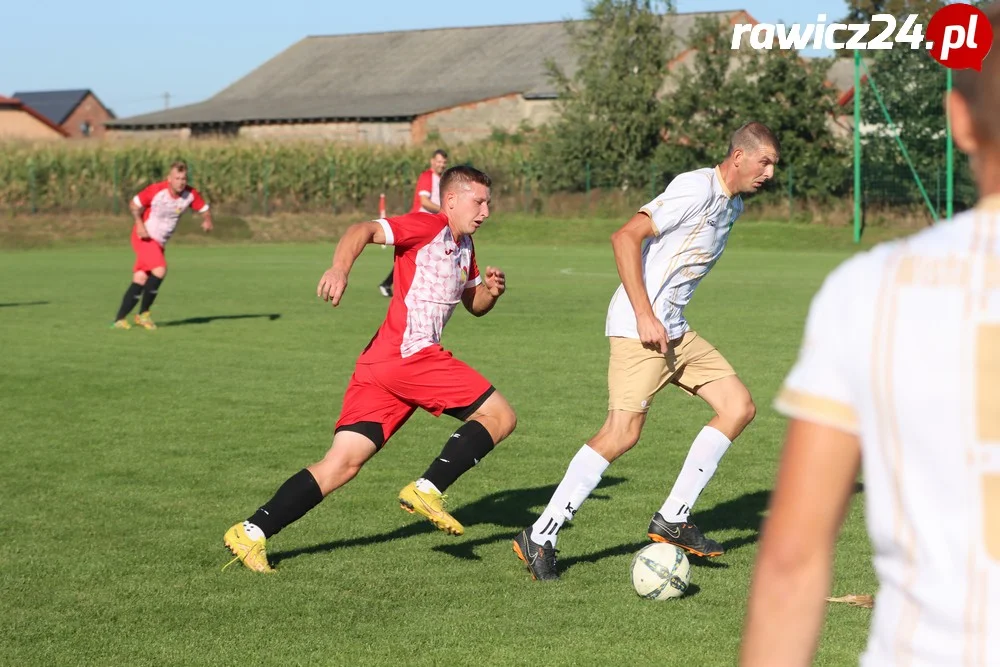 Awdaniec Pakosław - Wisła Borek Wielkopolski 2:5