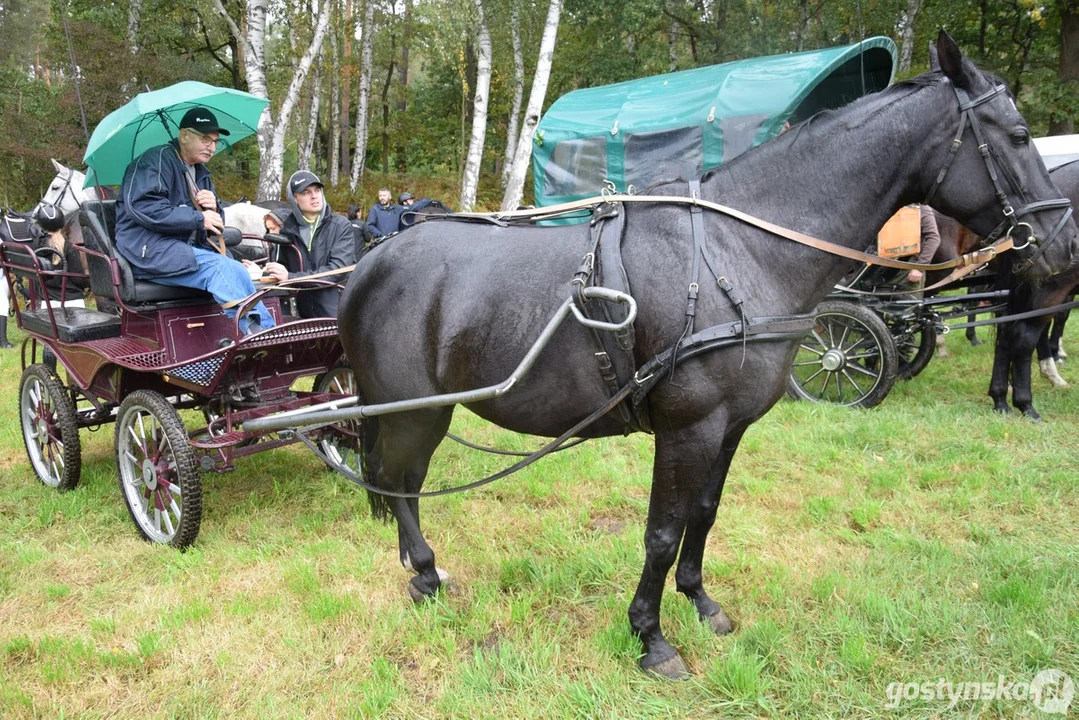 Hubertus w Drzewcach 2023