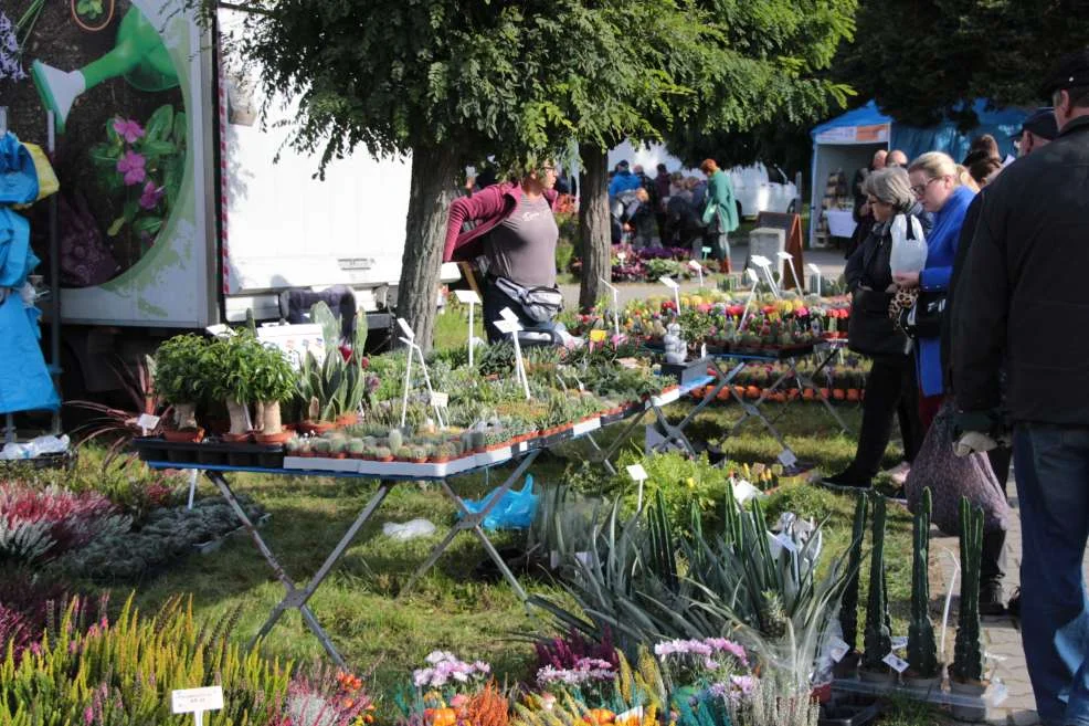 Wyróżnienie dla KGW w Witaszyczkach na targach w Marszewie