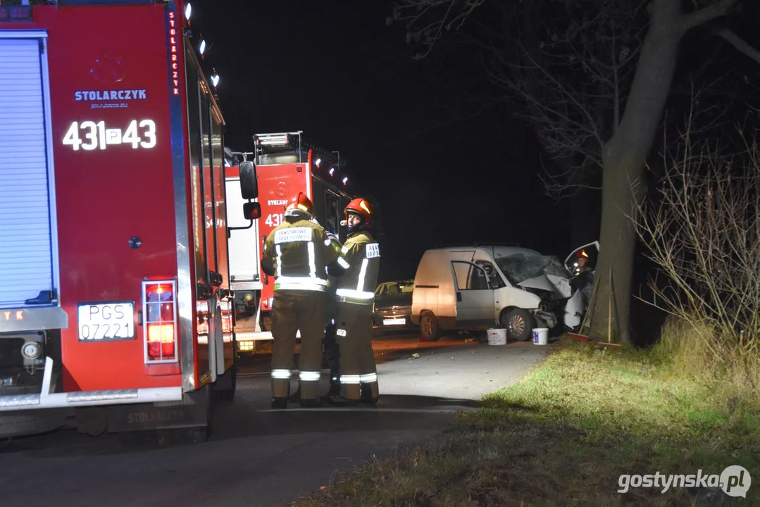 Czołówka z drzewem. Wypadek w Grodzisku (gm. Poniec)