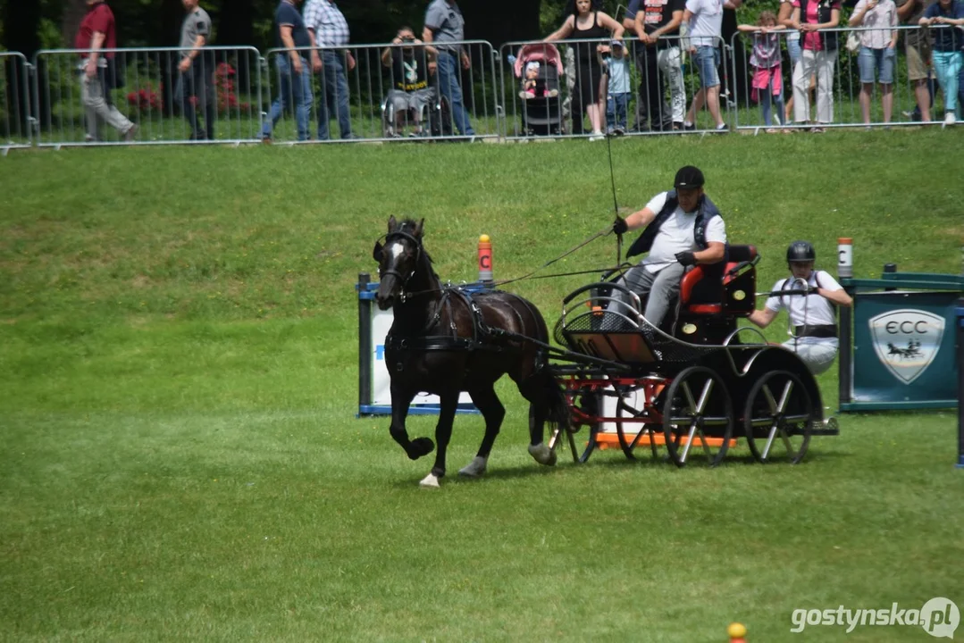 Rokosowo Horse Show 2024 - dzień pierwszy