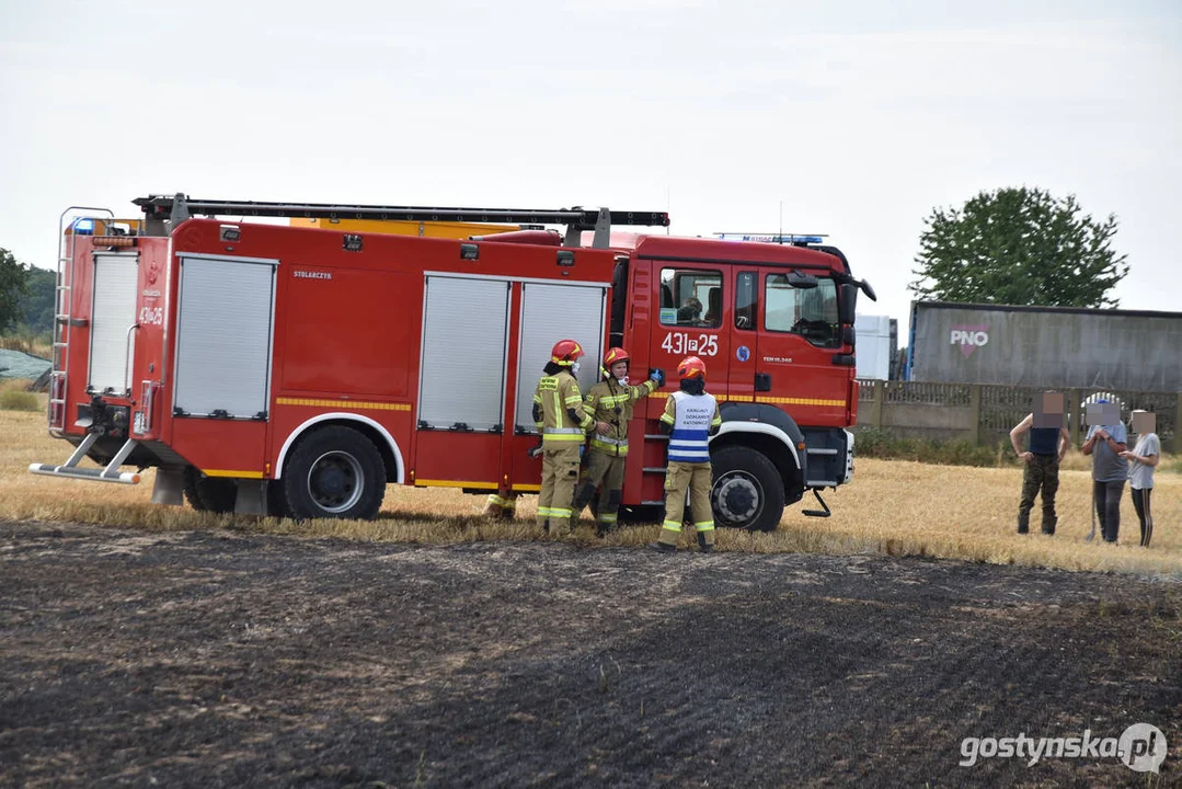 Pożar ścierniska w Daleszynie