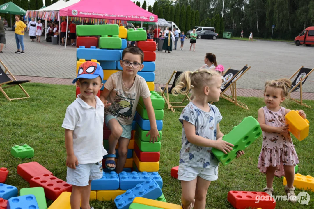 XIX Prezentacje Zespołów Ludowych Wielkopolski - Borek Wlkp. 2024