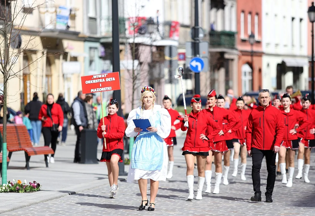 Najdłuższe palmy miały ponad 3 metry