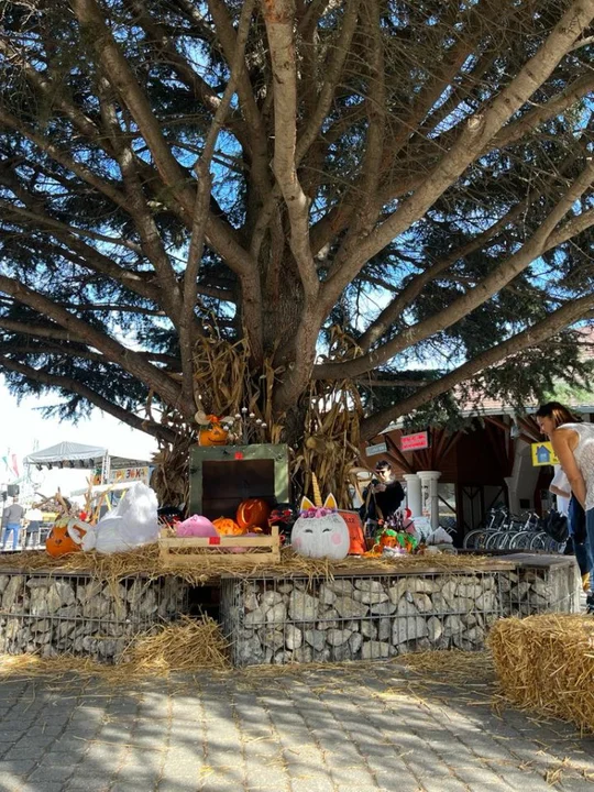 Krotoszyńska delegacja na Festiwalu Folkloru w węgierskim Fonyód