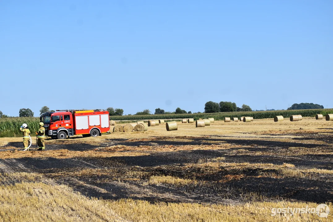 Pożar balotnicy i pola uprawnego w Grabianowie