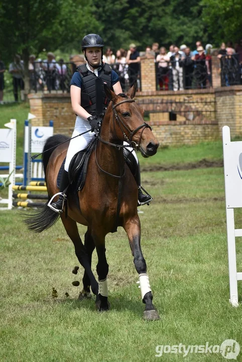 Rokosowo Horse Show - dzień drugi