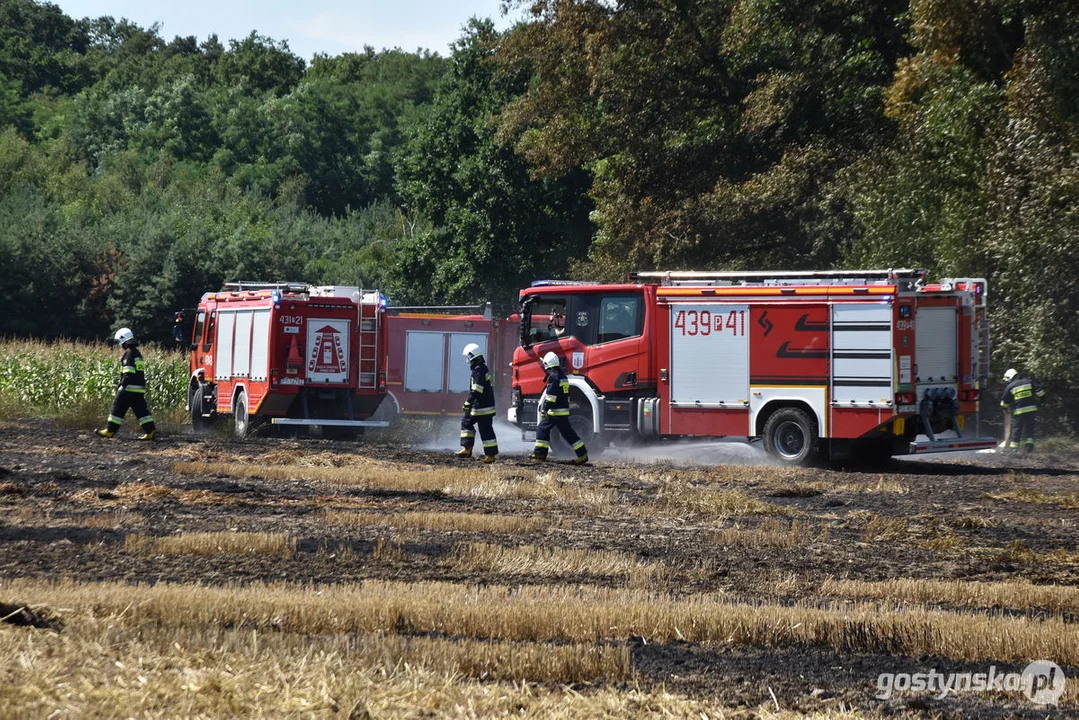 Pożar zboża w Osowie (gm. Gostyń)