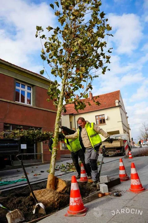 Nagroda Towarzystwa Urbanistów Polskich dla gminy Jarocin