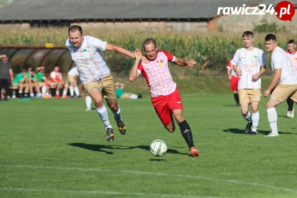 Awdaniec Pakosław - Wisła Borek Wielkopolski 2:5