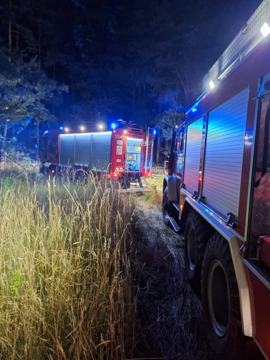 Pożar lasu na granicy powiatu krotoszyńskiego i milickiego