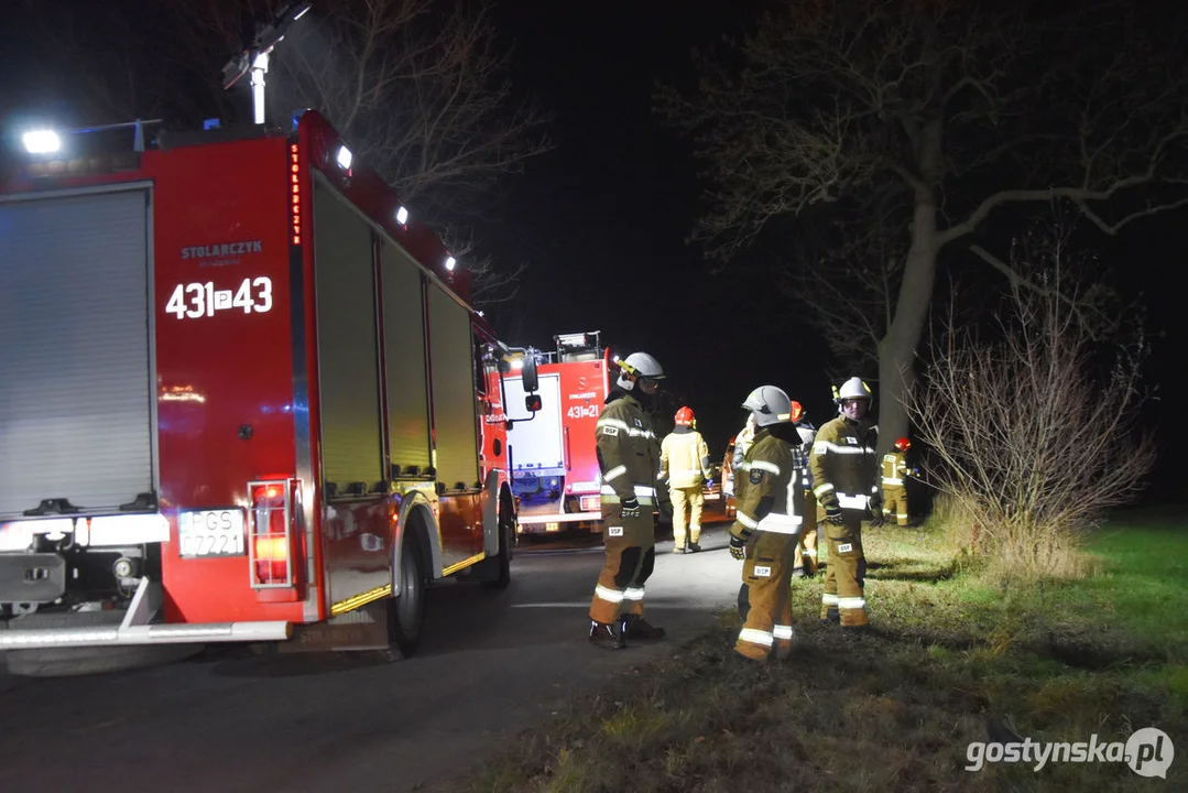 Czołówka z drzewem. Wypadek w Grodzisku (gm. Poniec)