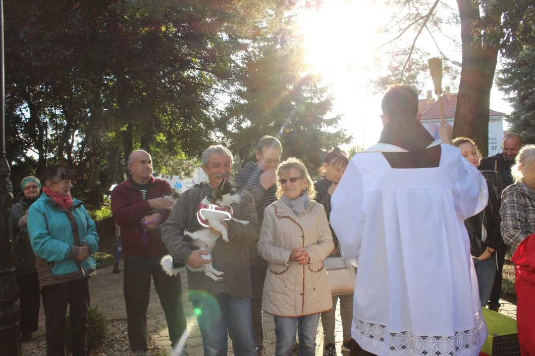 Franciszkanie w Jarocinie. Odpust św. Franciszka z Asyżu