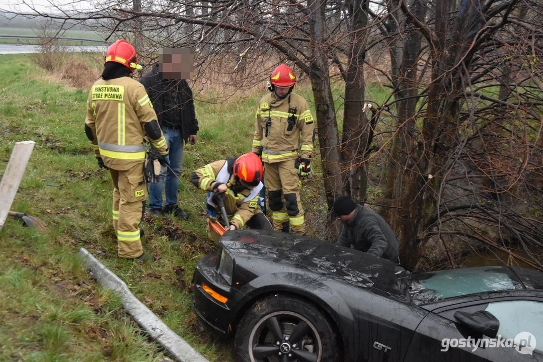 Mustang wpadł do stawu. Straż pożarna z Gostynia w akcji