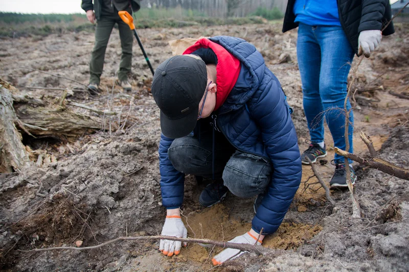 Dziennikarze jarocinska.pl i wolontariusze Fundacji Ogród Marzeń sadzili las w Roszkowie