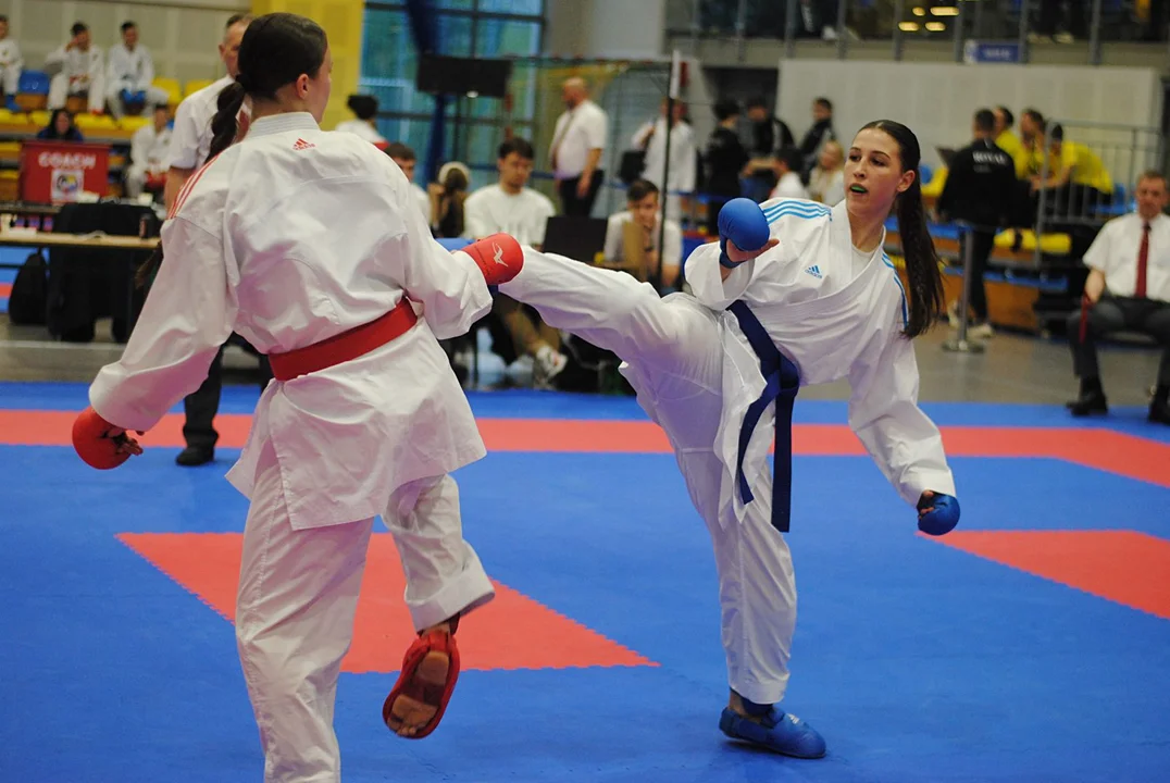 Karatecy z ośmiu krajów brali udział w turnieju w Pleszewie - Zdjęcie główne