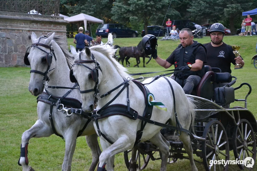 Rokosowo Horse Show 20224 - Konie i Powozy na Zamku Wielkopolskim w Rokosowie