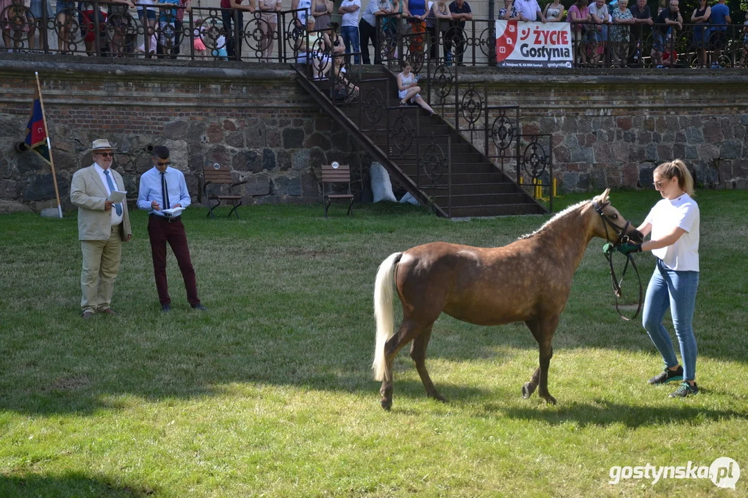 Rokosowo Horse Show 20224 - Konie i Powozy na Zamku Wielkopolskim w Rokosowie